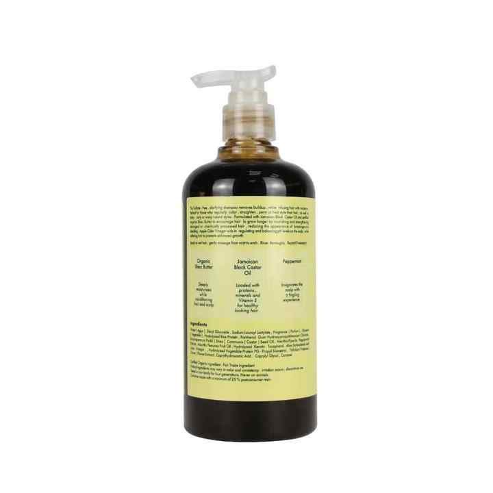 Natural Bar Damaged Care Products Black Caster Oil Ingredients Shampoo and Conditioner Hair Care Set for Dry Hair Sets